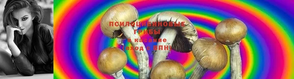 гашиш Баксан