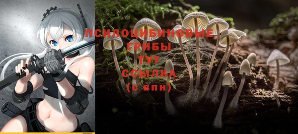 ПСИЛОЦИБИНОВЫЕ ГРИБЫ Новокубанск